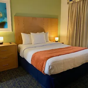 *** Hotel Ficus Puerto Rico